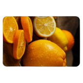 Vibrant Citrus Fruits Refrigerator Magnet マグネット (横)
