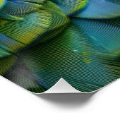 Vibrant Exotic Parrot Color Portrait ポスター (コーナー)