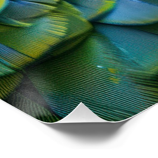 Vibrant Exotic Parrot Color Portrait ポスター (コーナー)