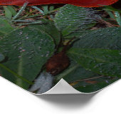 Vibrant Fall Leaves ポスター (角)