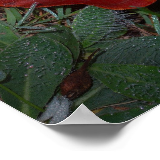 Vibrant Fall Leaves ポスター (角)