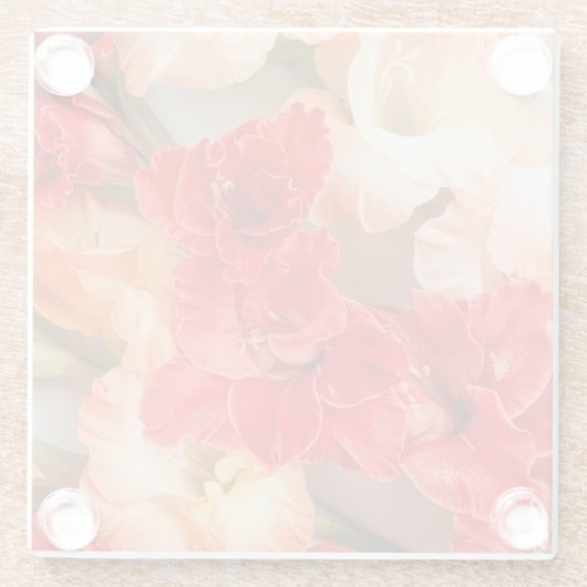 Vibrant Gladiolus flowers ガラスコースター (裏面)