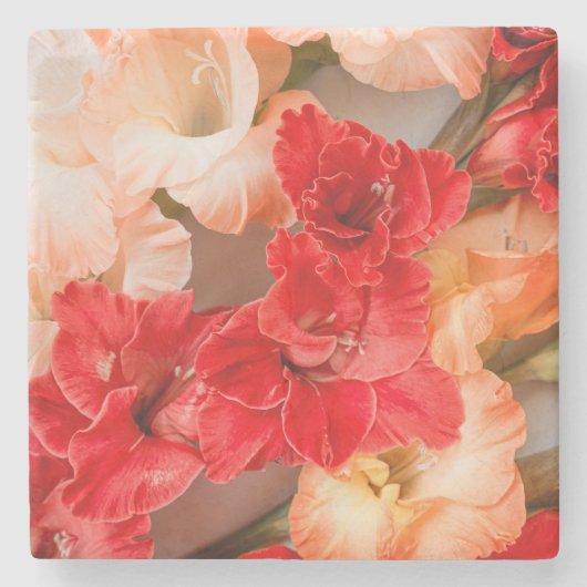 Vibrant Gladiolus flowers ストーンコースター (正面)