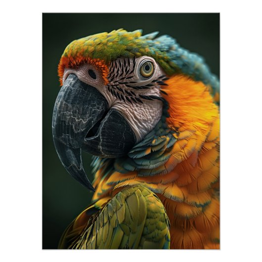 Vibrant Macaw Parrot Close-Up Fine Art Photo ポスター (正面)