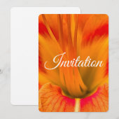 Vibrant orange daylily macro elegant floral シーズンカード (正面/裏面)