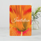 Vibrant orange daylily macro elegant floral シーズンカード (スタンド正面)