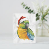 Vibrant Parrot Portrait in Santa Hat シーズンポストカード (スタンド正面)