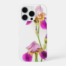 Vibrant pink and purple iris