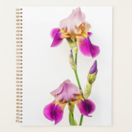 Vibrant pink and purple iris Planner プランナー手帳