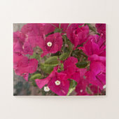 Vibrant Pink Bougainvillea Flowers Blooming in Tro ジグソーパズル (横)