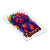 Vibrant Pop Art Havanese Dog – Colorful Street Art マグネット (右側)