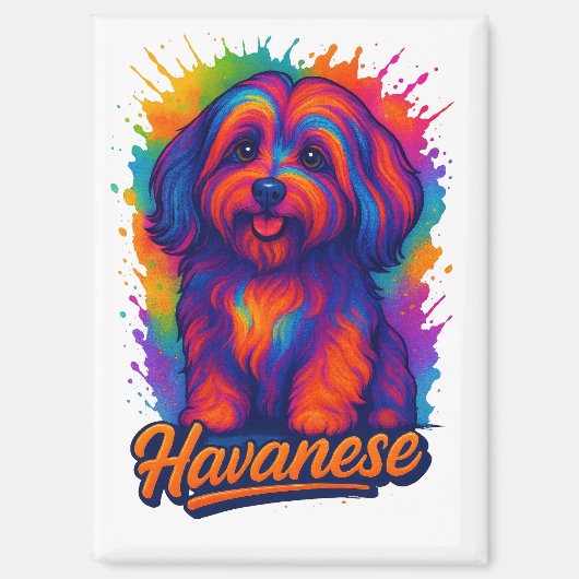 Vibrant Pop Art Havanese Dog – Colorful Street Art マグネット (正面)
