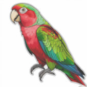Vibrant Rainbow Parrot シール (正面)