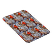 Vibrant Red ardinal Bird Perched on Branch  マグネット (右側)