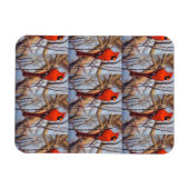 Vibrant Red ardinal Bird Perched on Branch  マグネット (横)