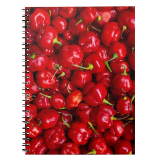 Vibrant Red Chili Pepper Harvest ノートブック (正面)