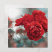 Vibrant Red Rose Bloom Botanical Greeting Card サンキューカード (正面/裏面)