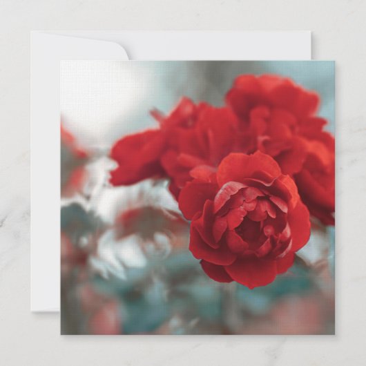 Vibrant Red Rose Bloom Botanical Greeting Card サンキューカード (正面)