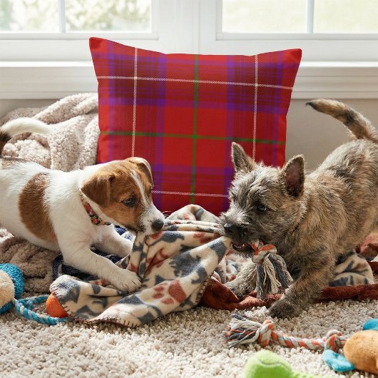 Vibrant Scottish Plaid - Rose Clan Tartan クッション