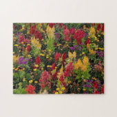 Vibrant Summer Flower Garden in Orlando Florida ジグソーパズル (横)