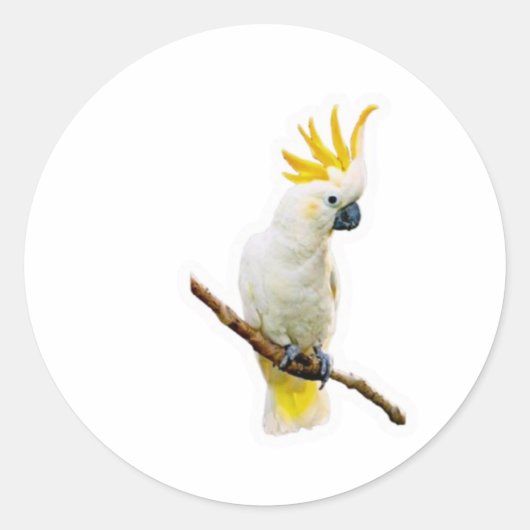 Vibrant Tropical Cockatoo - Exotic Indonesian Parr ラウンドシール (正面)