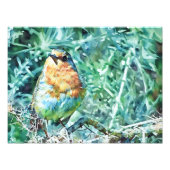 Vibrant Watercolour Robin Perched on Thorns  フォトプリント (正面)