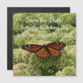 Viceroy Butterfly美しい自然写真 (正面/裏面)