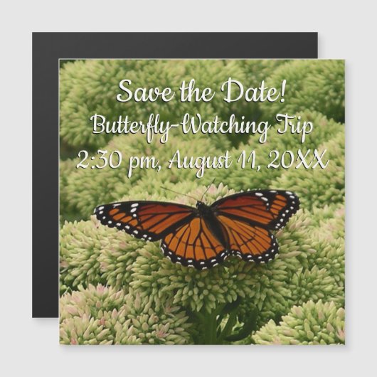 Viceroy Butterfly美しい自然写真 (正面/裏面)