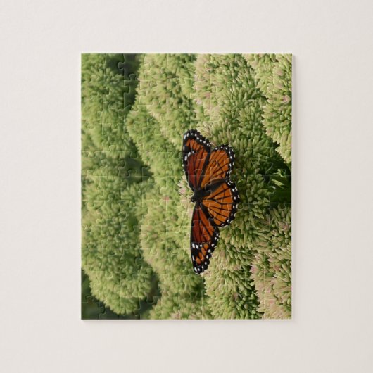 Viceroy Butterfly美しい自然写真 ジグソーパズル (縦)