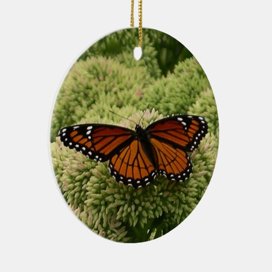 Viceroy Butterfly美しい自然写真 セラミックオーナメント (右)