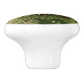 Viceroy Butterfly美しい自然写真 セラミックノブ (側面)