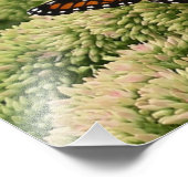 Viceroy Butterfly美しい自然写真 フォトプリント (角)