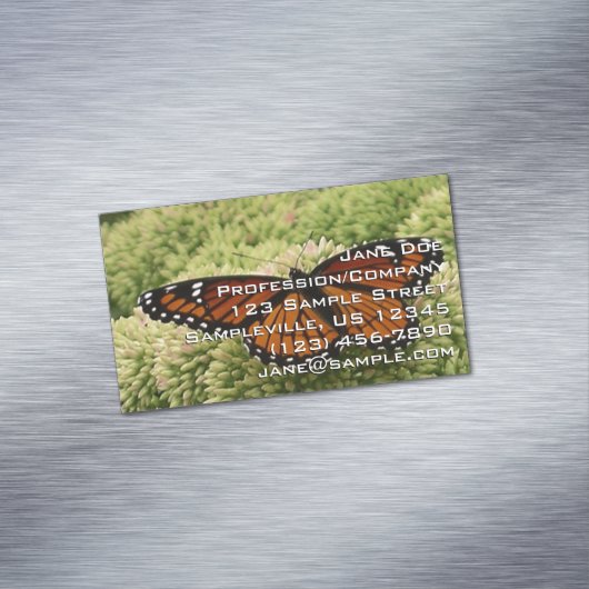 Viceroy Butterfly美しい自然写真 マグネット名刺 (インサイチュ)
