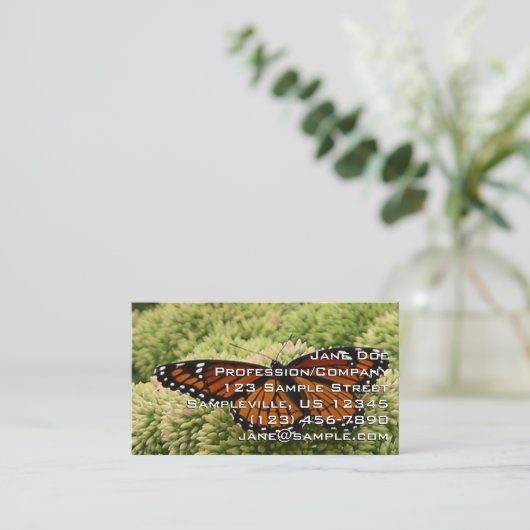 Viceroy Butterfly美しい自然写真 名刺 (スタンド正面)