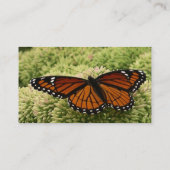 Viceroy Butterfly美しい自然写真 名刺 (裏面)