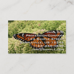 Viceroy Butterfly美しい自然写真 名刺