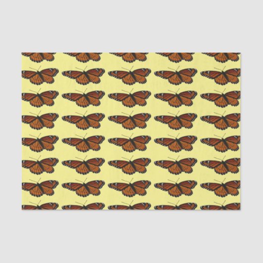 Viceroy Butterfly美しい自然写真 薄葉紙 (正面)