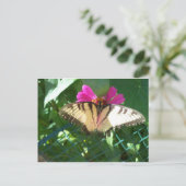 Viceroy Butterfly, 1 ポストカード (スタンド正面)