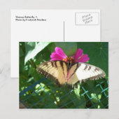 Viceroy Butterfly, 1 ポストカード (正面/裏面)