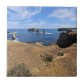 Victoria’s Bay of Islands Coastal Panorama タイル (正面)