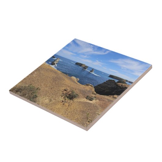 Victoria’s Bay of Islands Coastal Panorama タイル (側面)