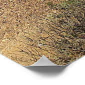 Victoria’s Bay of Islands Coastal Panorama ポスター (角)