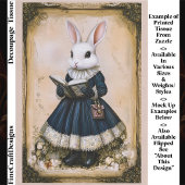 Victorian Dressed Rabbit With Book ER7L Decoupage 薄葉紙
