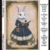Victorian Dressed Rabbit With Book ER7R Decoupage 薄葉紙