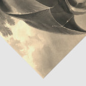 Victorian lady umbrella rainy day sepia 薄葉紙 (詳細)