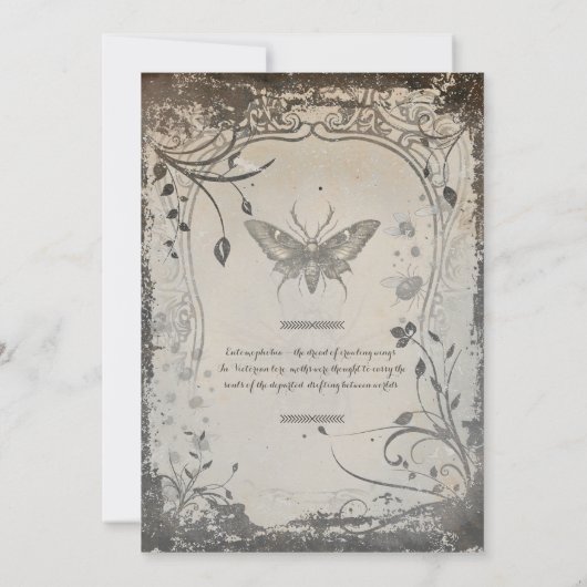 Victorian Moth Gothic Halloween Party Soirée 招待状 (裏面)