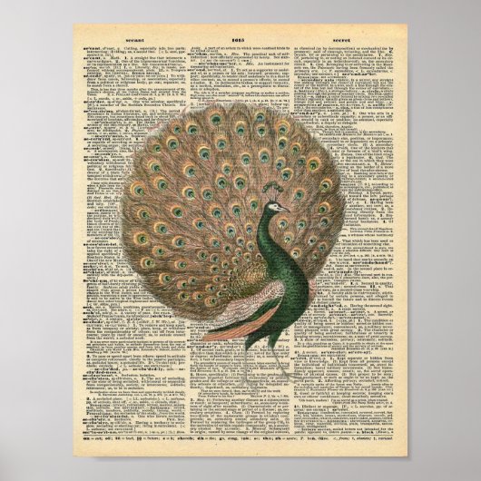 Victorian peacock vintage dictionary page ポスター (正面)