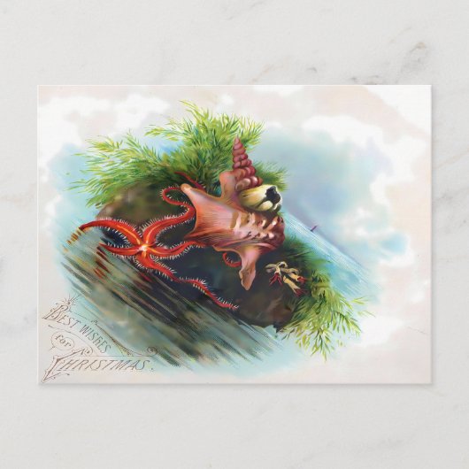 Victorian Starfish & Seashell Holiday Greetings ポストカード (正面)