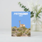 Vicuna Patagonia，チリのポストカード – 垂直 ポストカード (スタンド正面)