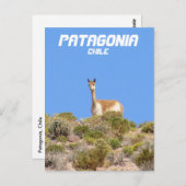 Vicuna Patagonia，チリのポストカード – 垂直 ポストカード (正面/裏面)